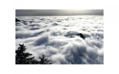 ​一句特别励志的短句(心灵弟汤经典语录励志)