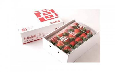 ​正能量的励志语录短句(正能量的话励志的短文)