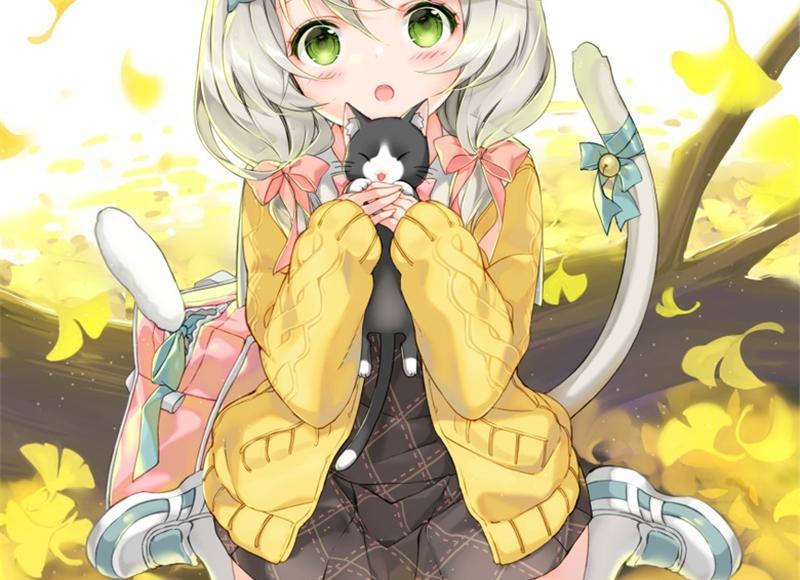 关于小花的优美句子精选493句