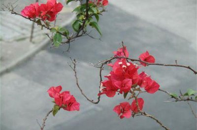 ​表达悲伤难过心情的句子