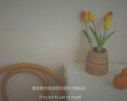 2025年简洁的花的优美语句集合67条