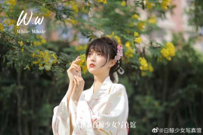 ​好听的情诗带九诗意短句汇集86句