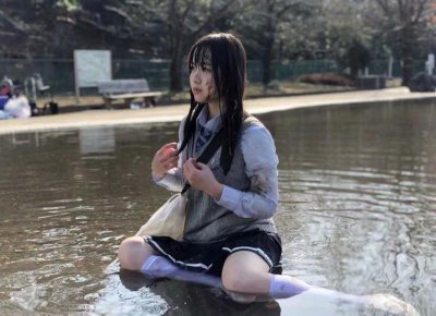 ​恐龙进化成鸟的短句合集66条