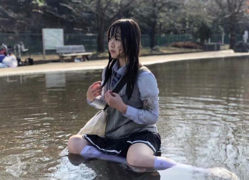 恐龙进化成鸟的短句合集66条