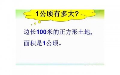​神话情话抖音翻烟嗓《给女生表白100字情书》