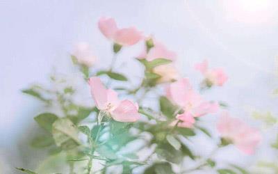 对你不止是喜欢的句子