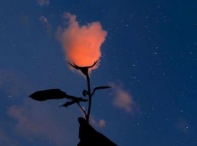 ​心情语录:不是因为寂寞才想你,而是因为想你才寂寞