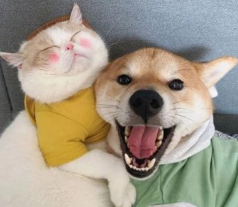 ​精彩歇后语85句