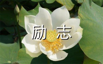 ​2025告别四月迎接五月的早安心语(精选78句)