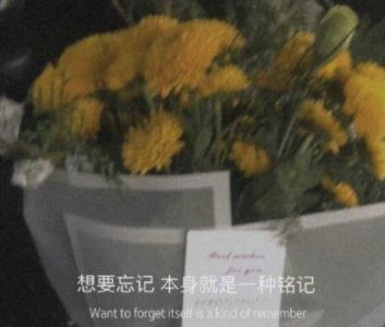 ​感谢相遇的唯美句子最暖心短句(精选40句)