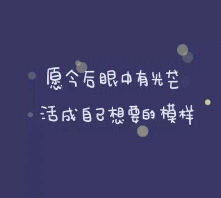 描写鸟儿在空中自由飞翔的句子