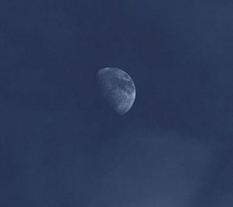 ​她对我很失望的句子(15句)
