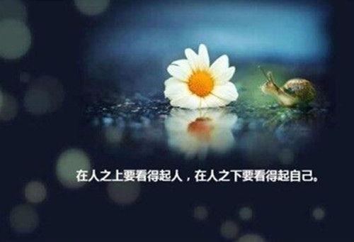 描写小河景象的优美句子