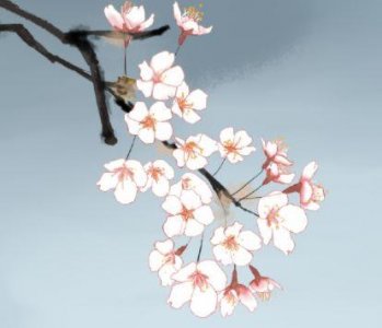 ​甜到炸的官宣句子 一句话高端秀恩爱(65句)