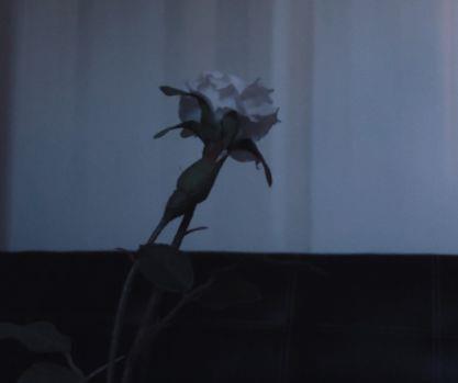 形容女人感情受伤的句子