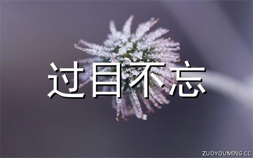 亲人对我失望的句子