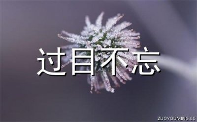 ​晚安语录温馨短语 每天一句晚安小短句合集81句