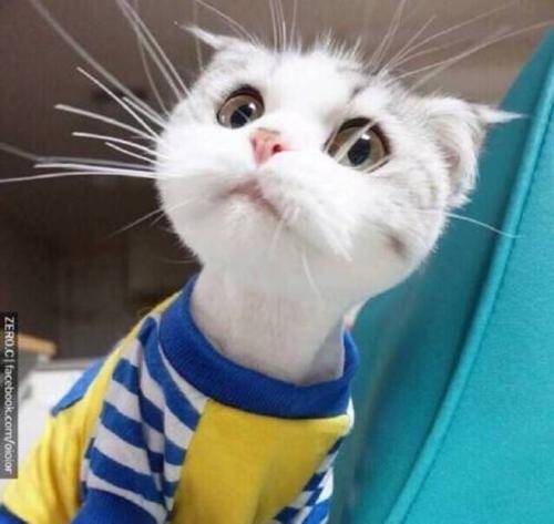 早安语录清晨微语