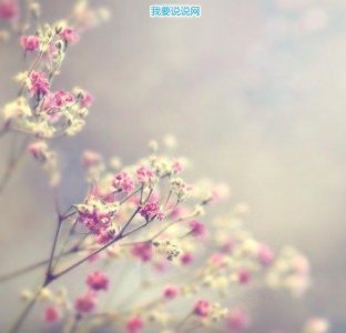 ​禁毒好句好段摘抄(精选54句)