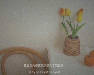 ​精选歇后语83句