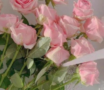 ​女生专属可爱撒娇的微信个性签名()合集42句