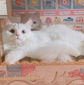 ​qq性签名友谊83句