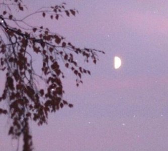 ​qq签名闺蜜超拽霸气80句