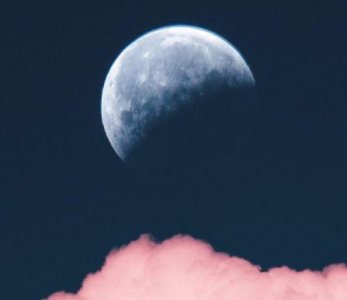 网红个性签名简短2024 2024网红个性签名