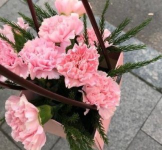​一年级下语文农业气象谚语86句