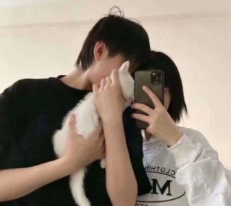 ​关于牛的英语谚语
