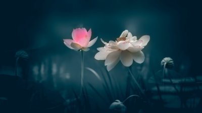 ​练完瑜伽发朋友圈说说 瑜伽后的心情说说