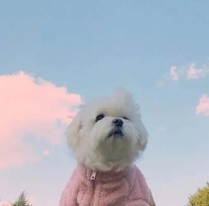 ​一晃又是一年经典说说 感慨一年又一年的佳句