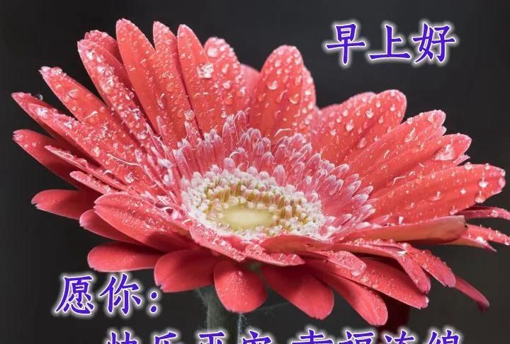 临近元旦、春节，昆明出现了疫情，进出昆明有什么要求