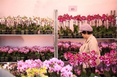 ​陈村：发力产业和城市两大领域，全力接稳“年轻……