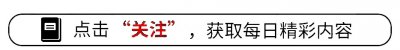 ​新手学做菜就从这12道开始，简单易学又好吃，天天都能露一手