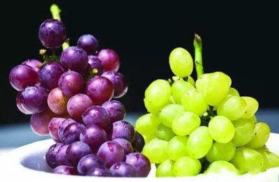 ​提子和葡萄的区别，吃提子不用吐籽（葡萄较酸提子偏甜）
