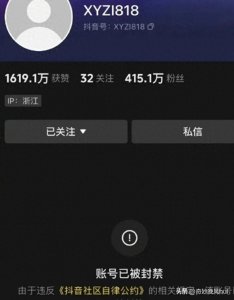 ​辛巴抖音账号被封禁：深思背后的原因与影响