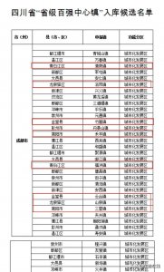 ​成都东进“大事件”汇总