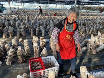 ​众埠镇：努力建设示范镇，全力打造第一等