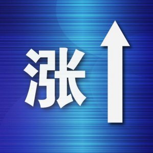 ​一箱油半年涨了一百多元，大连92、95号号汽油零售价全面破“9”