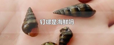 ​钉螺是海鲜吗
