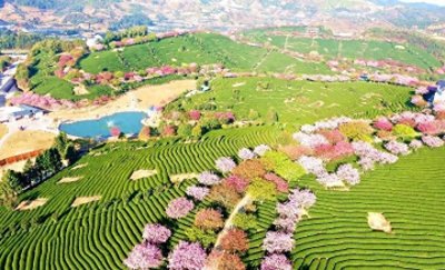 ​为什么漳平市值得大力发展？