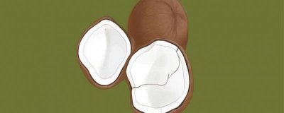 ​椰子油的营养价值及营养成分