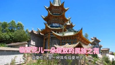 ​临夏花儿一朵绽放的民族之花