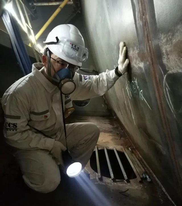 六边形战士代表的六种属性(闪光时刻六边形战士)(5)