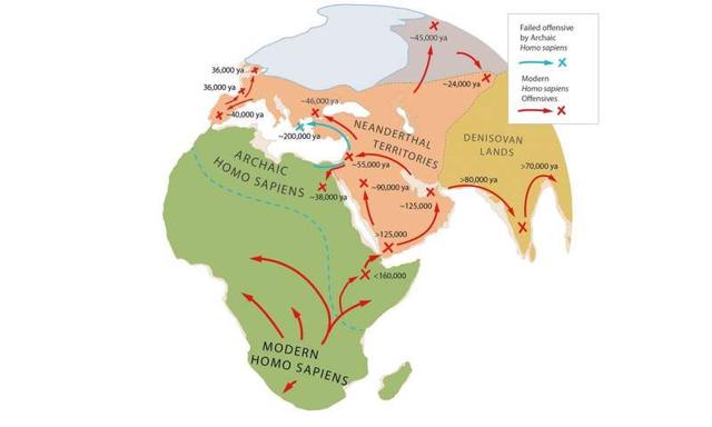 极简人类战争史（一场时长超过十万年的史前战争）(7)