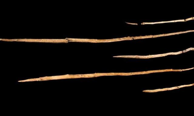 极简人类战争史（一场时长超过十万年的史前战争）(4)