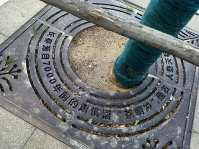 ​“茶啊冲”是什么意思，它真的是长春市的旧称吗？