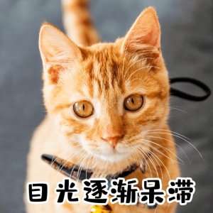 ​近期长沙音乐节汇总信息！