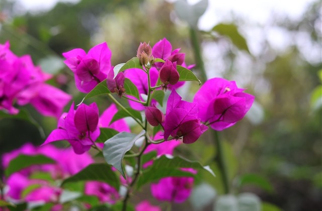 好听又成熟的网名男生